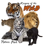 datacard/list/851/291851/KEEPERS SMALL.jpg listGraphic